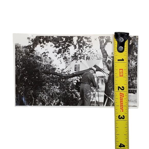 Vtg Man Fixing Fallen Tree Original Monochrome Photography Found 1950 Landscape - Picture 2 of 4